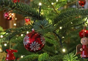 Mehr über den Artikel erfahren Safe the Date!